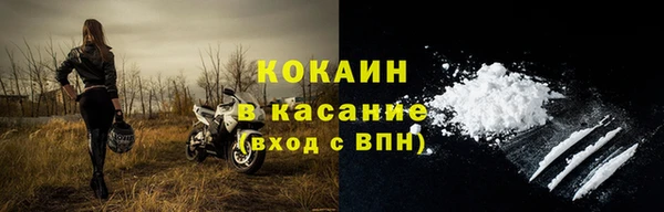 винт Лагань