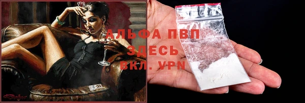 ECSTASY Ладушкин