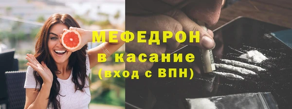винт Лагань