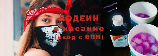 ПСИЛОЦИБИНОВЫЕ ГРИБЫ Лабытнанги