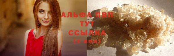 ПСИЛОЦИБИНОВЫЕ ГРИБЫ Лабытнанги