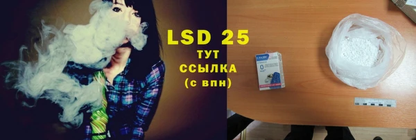 ECSTASY Ладушкин