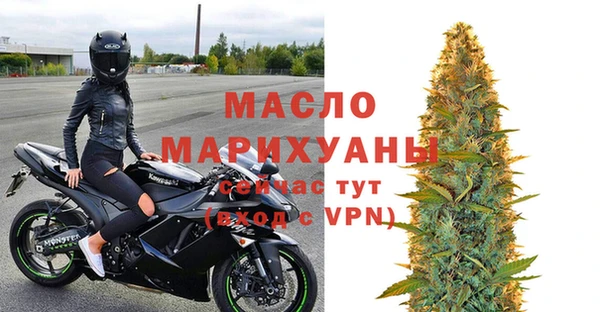 винт Лагань