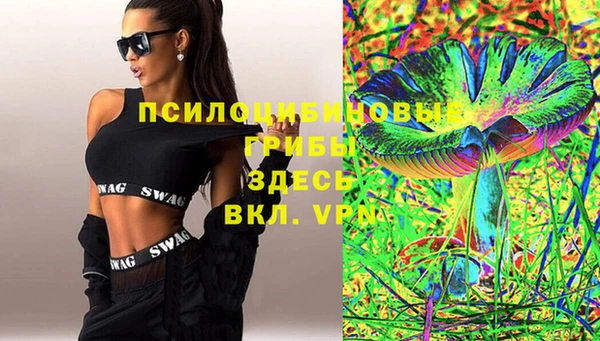 ECSTASY Ладушкин