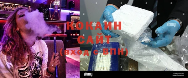 индика Вязники