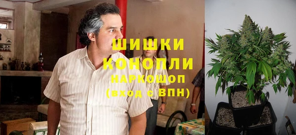 винт Лагань
