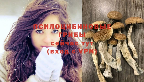 ПСИЛОЦИБИНОВЫЕ ГРИБЫ Лабытнанги